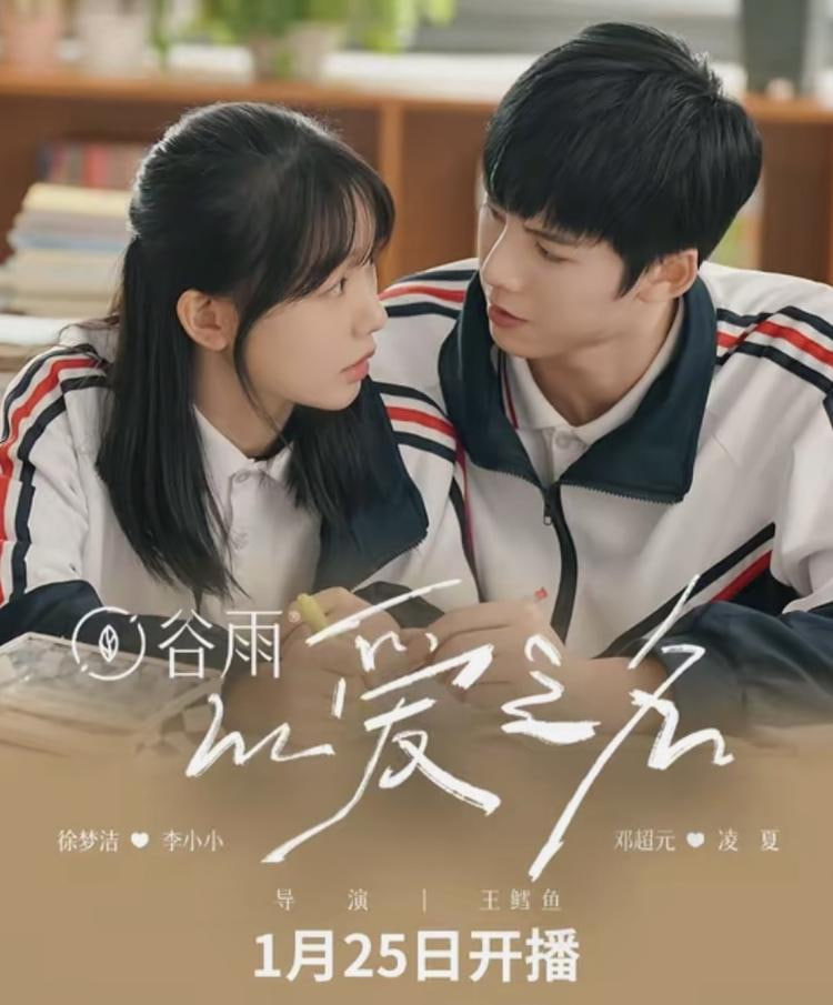 以爱之名(全集)