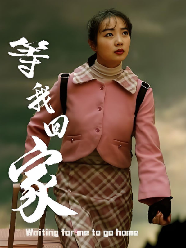 等我回家(全集)