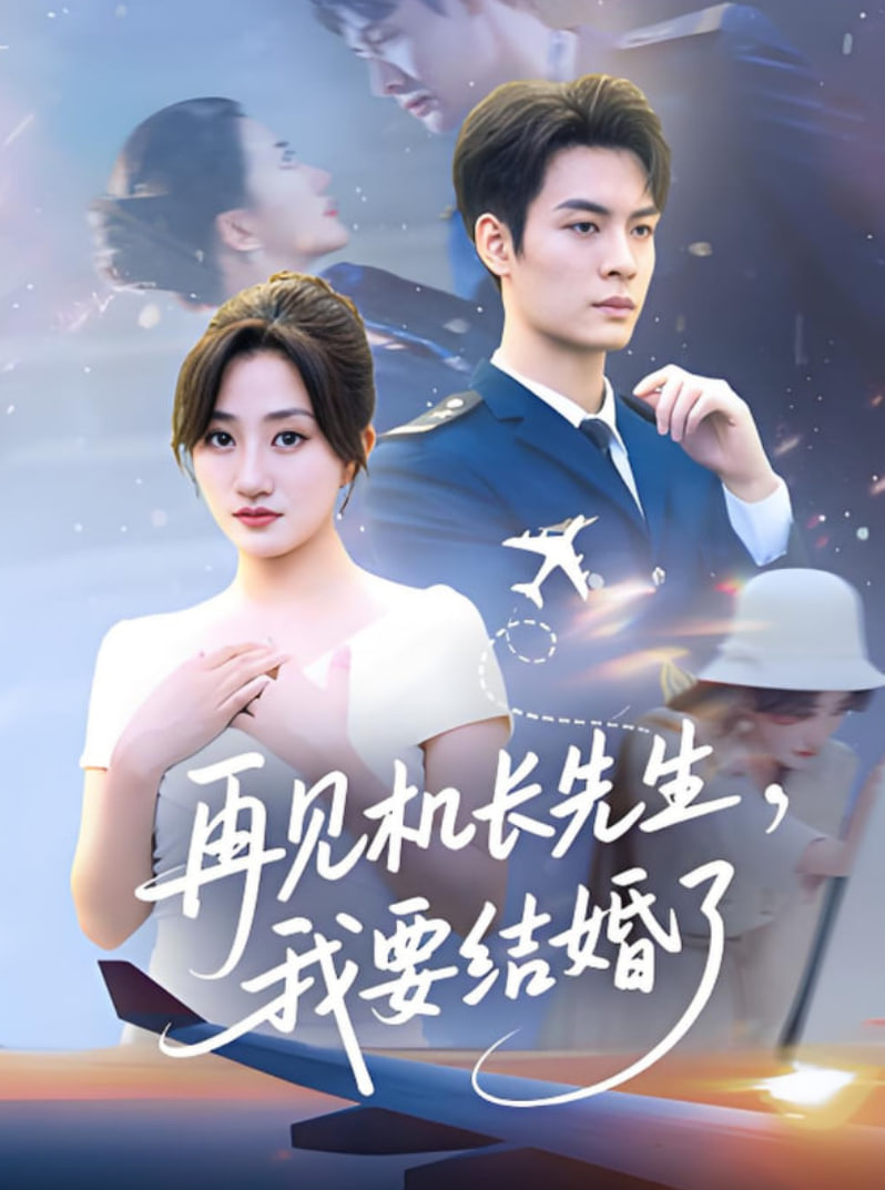 再见机长先生我要结婚了（再见机长先生，我要结婚了）(全集)