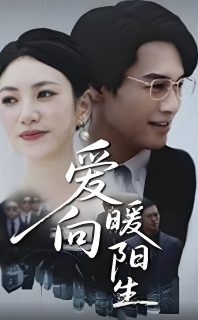 爱向暖阳生(全集)