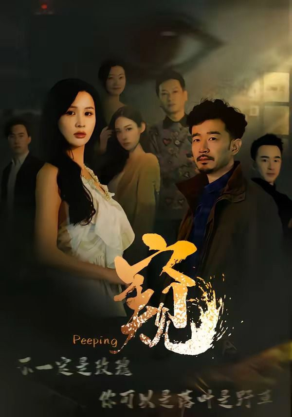 窥（窥伺）(全集)